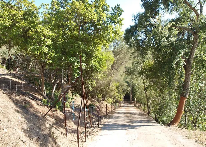 Trigueros قرطبة